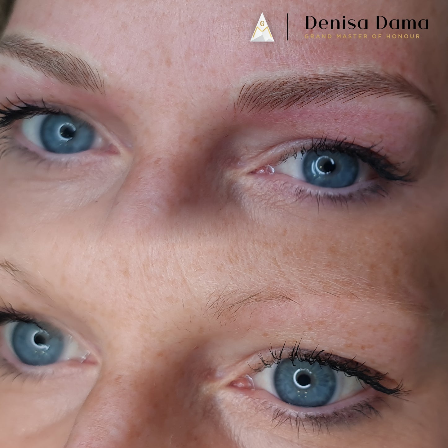 Microblading + shading